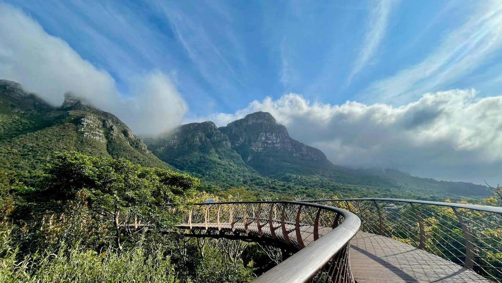 The Boomslang canopy walkway at Kirstenbosch