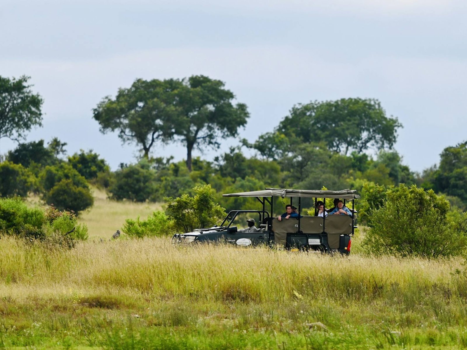 Open safari vehicle on a Kruger game drive