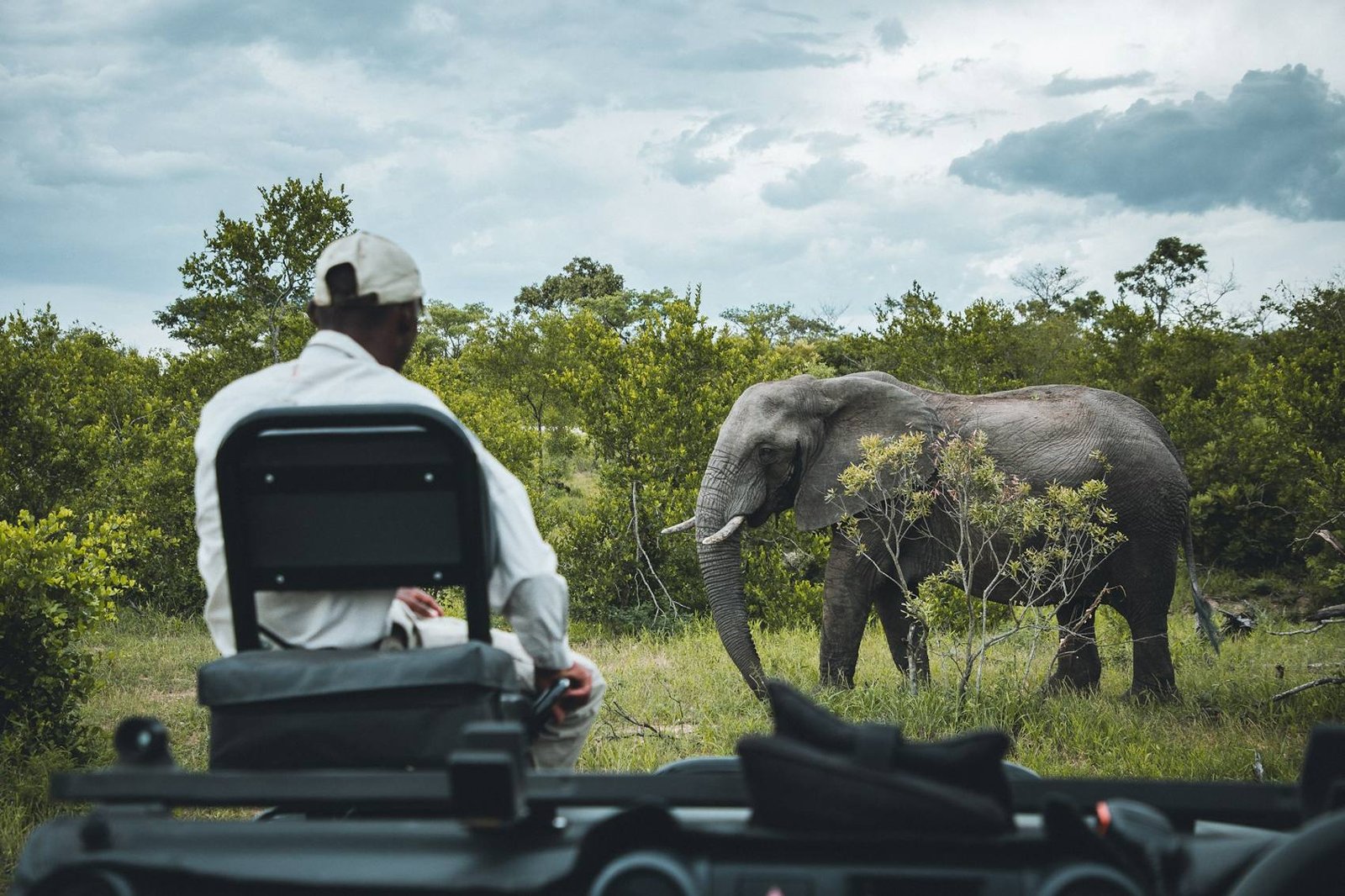 Guest watching an elephant from an open safari vehicle in Kruger