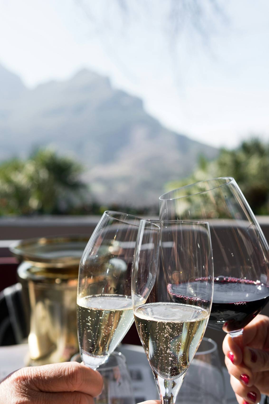 Glasses of red and white wine raised at a Winelands estate